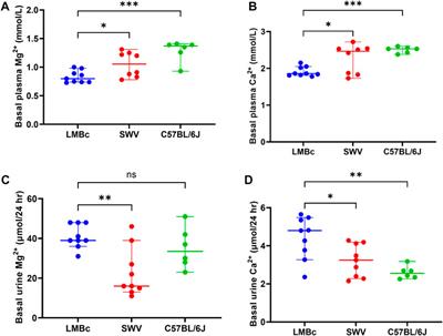 Gene-nutrient interactions that impact magnesium homeostasis increase risk for neural tube defects in mice exposed to dolutegravir